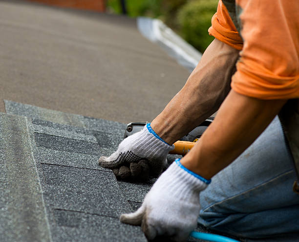Professional Roofing Contractor in Carmel, IN