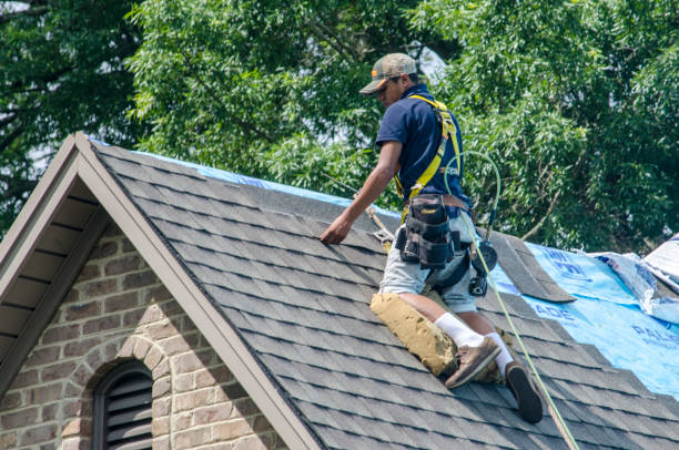 Best Residential Roofing Contractor  in Carmel, IN